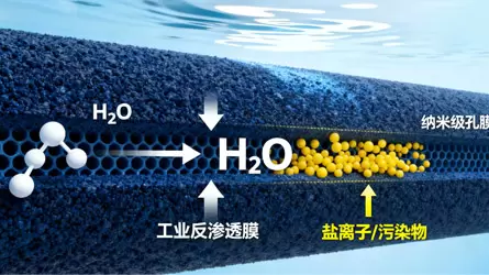 工业反渗透膜如何工作？——渗透与反渗透的物理原理图解